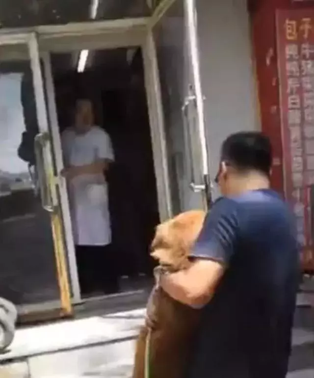 金毛受傷後被主人放棄,好心人救助後仍然停食,金毛:我在等你