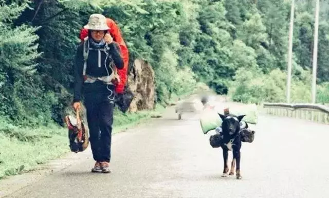 年邁狗狗陪20歲主人去西藏,主人推著小車,狗狗:一路一起走