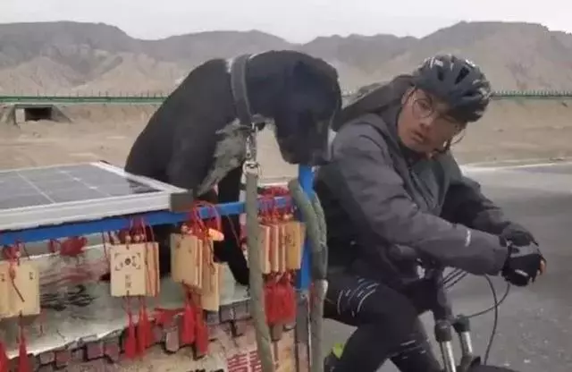 年邁狗狗陪20歲主人去西藏,主人推著小車,狗狗:一路一起走