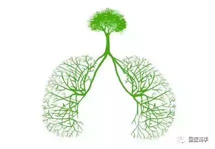 灰塵吸多了肺竟然變這樣!給你五個清肺妙招輕鬆清理垃圾
