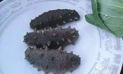 別再喝骨頭湯了!補鈣第一名竟是「它」萬萬沒想到!年紀大骨質疏鬆,要多吃點補鈣哦!