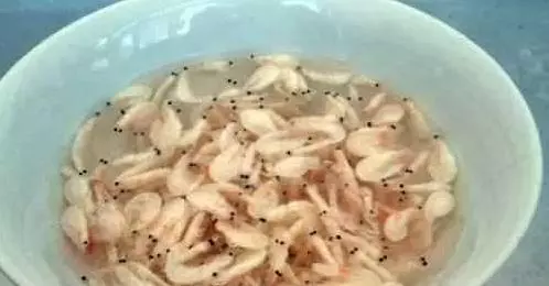 別再喝骨頭湯了!補鈣第一名竟是「它」萬萬沒想到!年紀大骨質疏鬆,要多吃點補鈣哦!