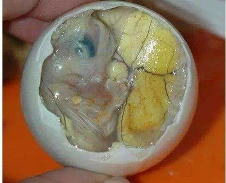 這4種食物別吃，比[毒·品]還毒，記得告訴家裡人，但是很多人都很喜歡吃