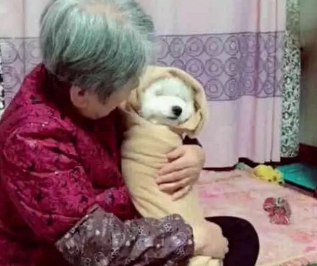 把狗送給奶奶養,回家一看嚇一跳,活得不如一隻狗