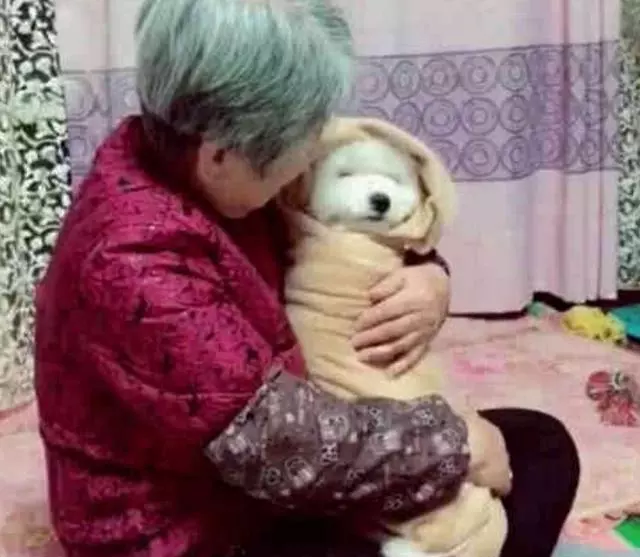 把狗送給奶奶養,回家一看嚇一跳,活得不如一隻狗
