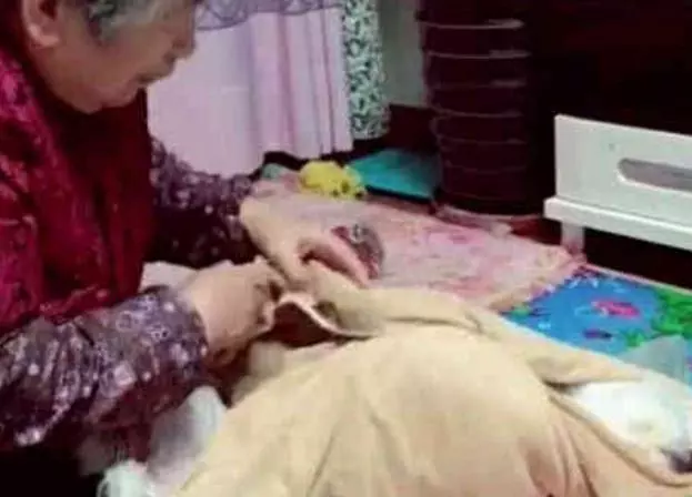 把狗送給奶奶養,回家一看嚇一跳,活得不如一隻狗