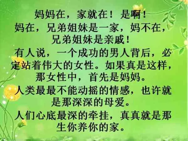 什麼是「媽」?女+馬=媽!讀的落淚!