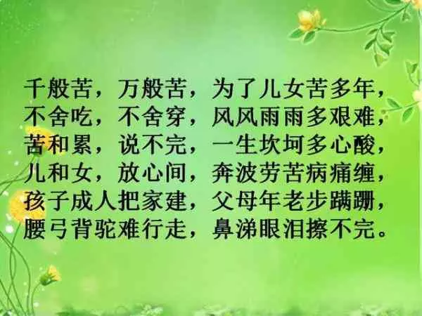 什麼是「媽」?女+馬=媽!讀的落淚!