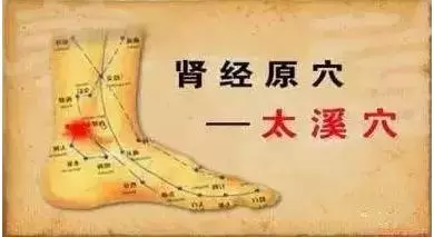 最好的藥就在我們身體里,求醫不如求己~