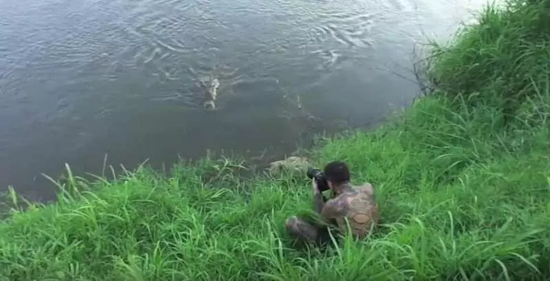 攝影師忘我拍攝沒察覺已成鱷魚獵物 上演驚魂一幕