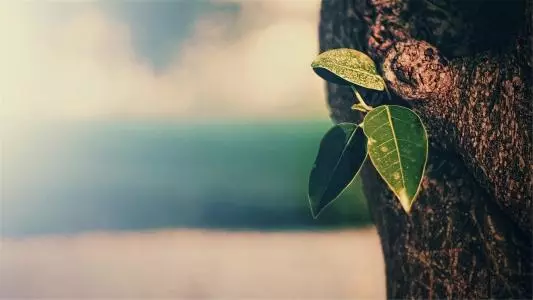 丹麥插畫測試:一張圖,測你的個性!