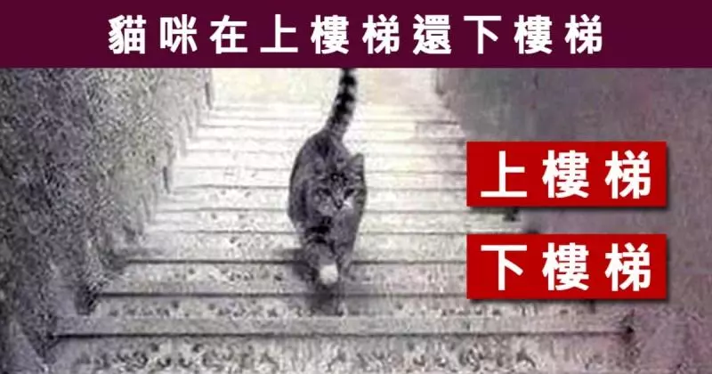准!它在上樓還是下樓?測你的全面性格!
