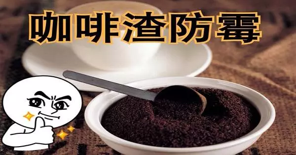 咖啡渣=免費蚊香,媽媽必學的三種「咖啡渣妙方」,種花、除蚊「一渣搞定」