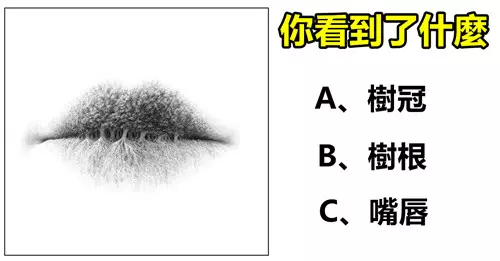 超准測試,你第一眼看到了什麼?測出你的性格!