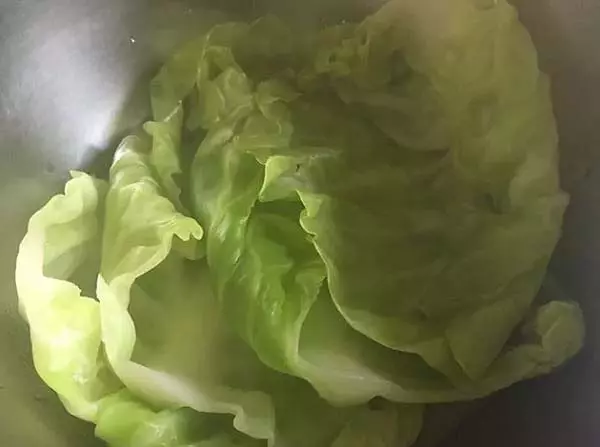 【禪滋素味】|營養健康不可少的八道純素食譜