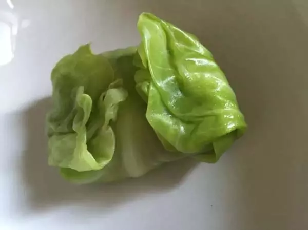 【禪滋素味】|營養健康不可少的八道純素食譜