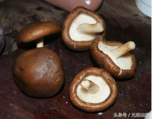 自製香菇肉丸,火鍋必備,三歲小孩都能放心吃!做法很簡單!