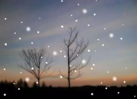 請在一秒內作答!你看到幾隻狗?測你內心的人格特性。