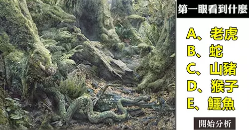 你第一眼看到的是什麼?測你是哪一型的人。