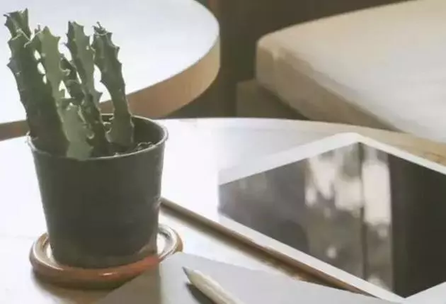 你第一眼看到的是什麼?測你是哪一型的人。