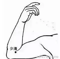 每天拍打半小時,健康到永遠(永新穴位操教程)