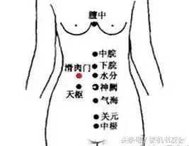 每天拍打半小時,健康到永遠(永新穴位操教程)