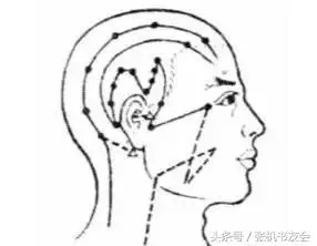 每天拍打半小時,健康到永遠(永新穴位操教程)
