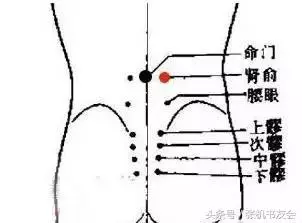 每天拍打半小時,健康到永遠(永新穴位操教程)