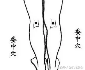 每天拍打半小時,健康到永遠(永新穴位操教程)