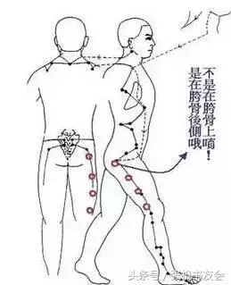 每天拍打半小時,健康到永遠(永新穴位操教程)