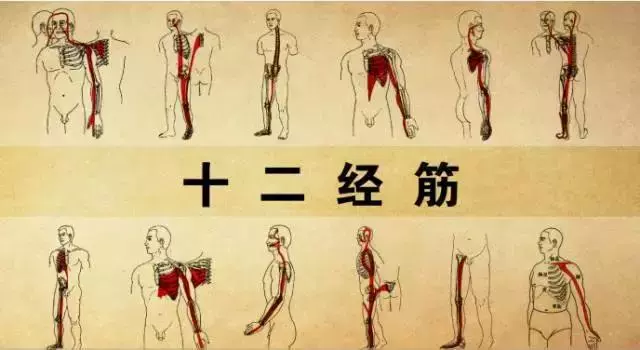 拉開身上「筋結」,體內百病去,專家獨門拉筋法,8~80歲都適用