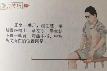 太白穴是心脾虛弱的剋星,功效堪比山藥薏米粥,懂得使用健康隨行
