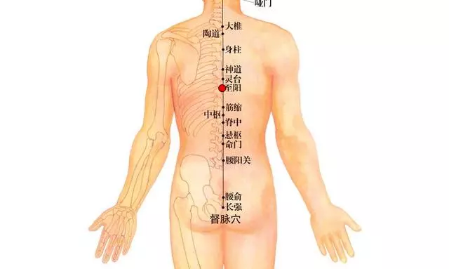 中醫點穴精準扶陽,指哪打哪陽氣升旺,臟腑調達,肢體舒暢