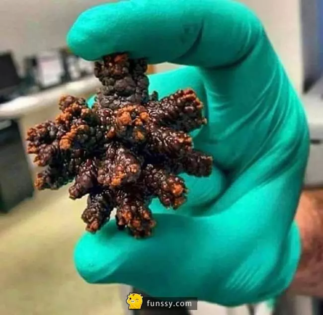 15張會讓你感慨「時間真的是過得超快」的超震撼真實照片