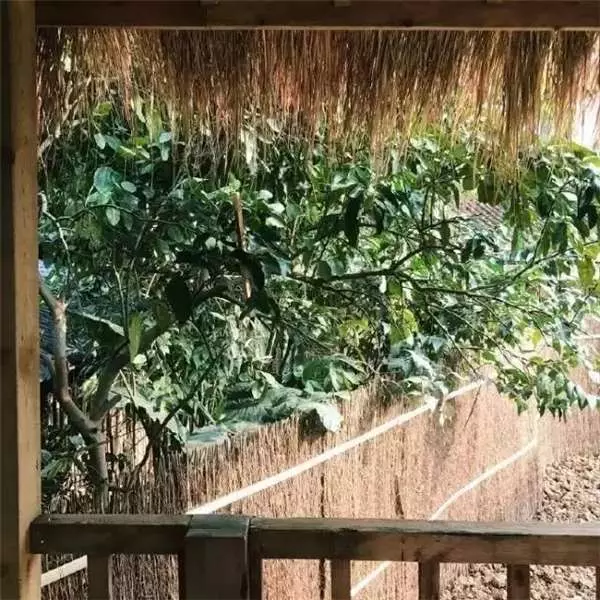 90後文青男僅花1萬4爆改出租房,後續又花1個半月的時間改造破院,成品讓人嘖嘖稱奇!