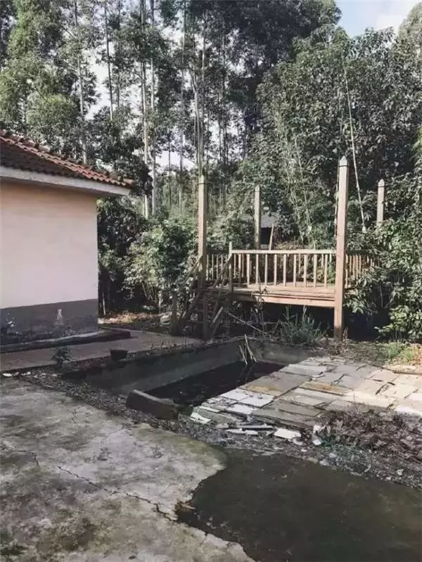 90後文青男僅花1萬4爆改出租房,後續又花1個半月的時間改造破院,成品讓人嘖嘖稱奇!