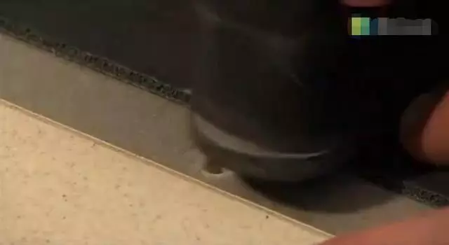 看到德國人怎麼鋪地板的,難以想像我家的地板下面有多髒!