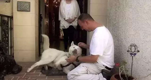 這一定是你養狗,最最最最幸福的瞬間