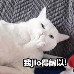 貓咪太高冷,我要怎樣才能討好它?