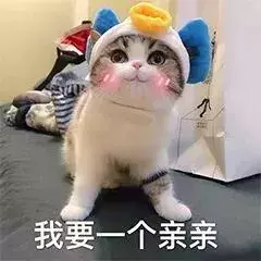 貓咪太高冷,我要怎樣才能討好它?