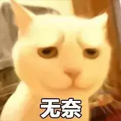 貓咪太高冷,我要怎樣才能討好它?