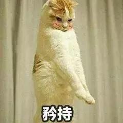貓咪太高冷,我要怎樣才能討好它?
