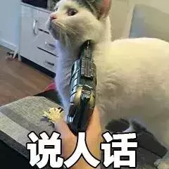 貓咪太高冷,我要怎樣才能討好它?