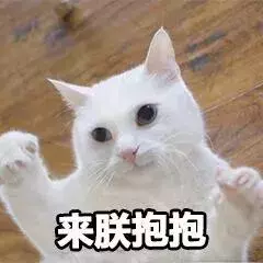貓咪太高冷,我要怎樣才能討好它?
