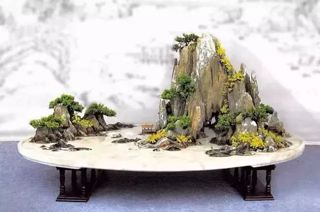 這10種盆景風格,玩一次就上癮!