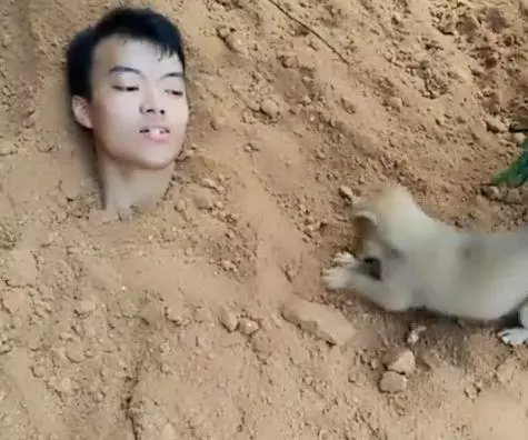 小夥測試土狗是否對自己忠誠,看到土狗的舉動,男子呆住了