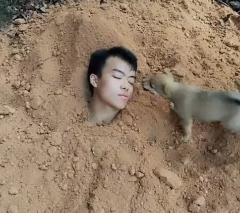 小夥測試土狗是否對自己忠誠,看到土狗的舉動,男子呆住了
