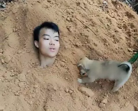 小夥測試土狗是否對自己忠誠,看到土狗的舉動,男子呆住了