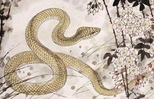 最聰明,智商最高的4大生肖,做什麼都賺錢,有你嗎?