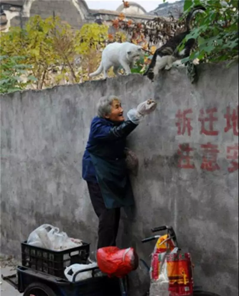 75歲高齡的阿嬤每天去菜市場撿別丟棄的魚內臟,好奇的我發現真相後蹲在地上淚流不止。